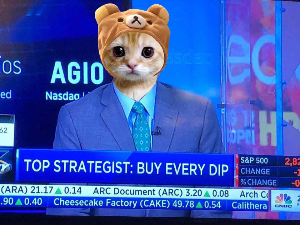 Kaizen2314's tweet photo. @itsFoxCrypto We shout $CIF!!!!!!!!!  😼🧢 @OGcatwifcoin https://t.co/YZYypaGL94