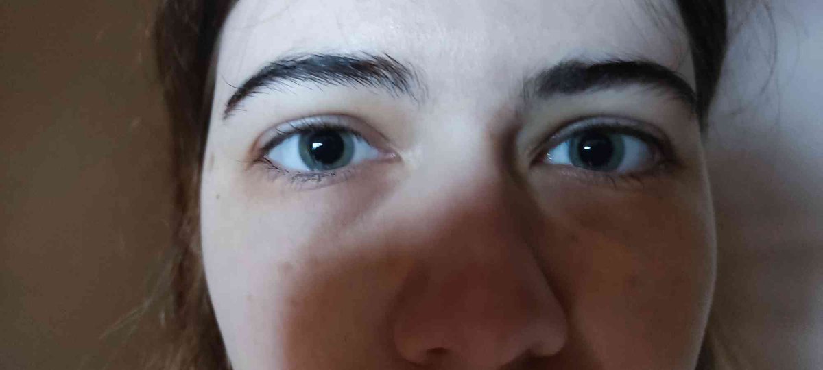 Maggatron tweet media