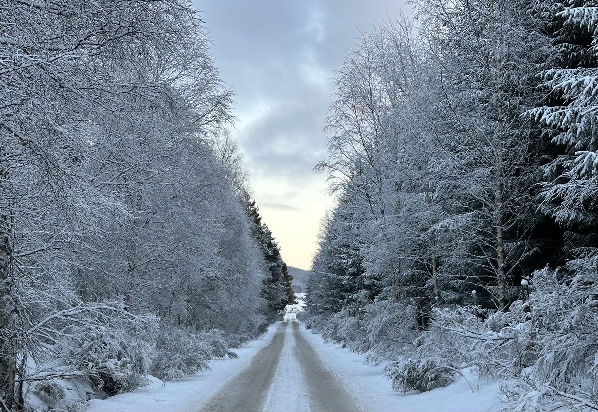 Or Aberdeenshire ...