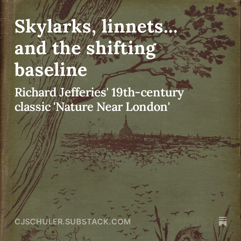 My latest Substack, on a classic of Victorian nature writing:  open.substack.com/pub/cjschuler/…