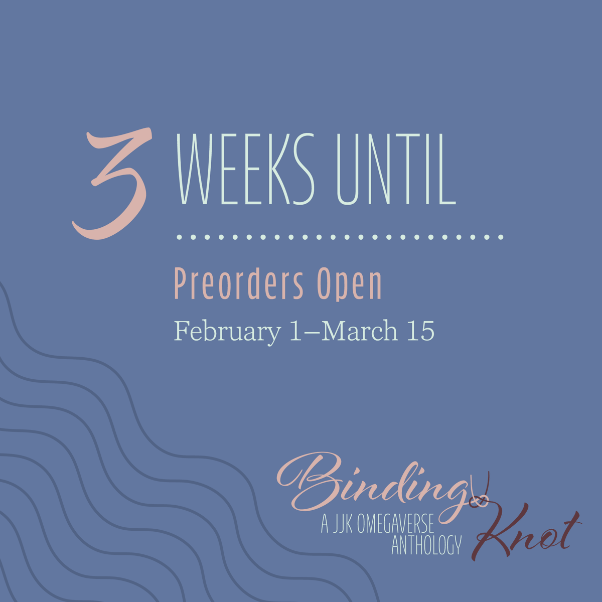 Things are heating back up over here - get ready for our preorders to open in just 3 weeks!
Preorders will run from February 1st to March 15th, so don't miss out!