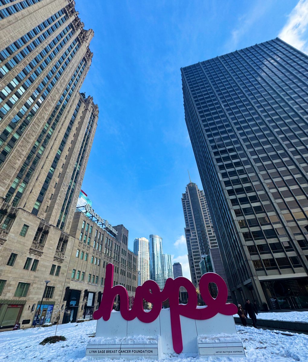 Caitlin Cook tweet media