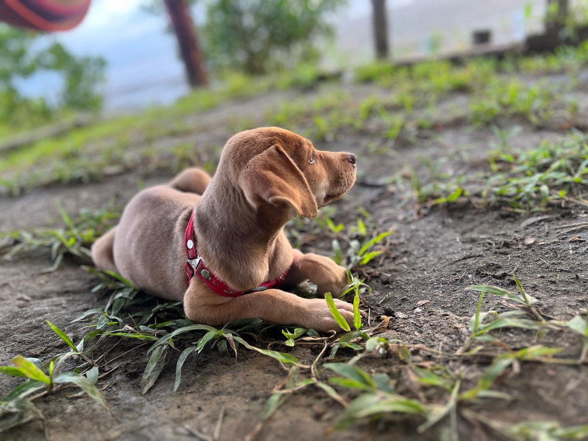 La Barra - Valle del Cauca - Pacífico Colombiano... ❣️🌊🌅