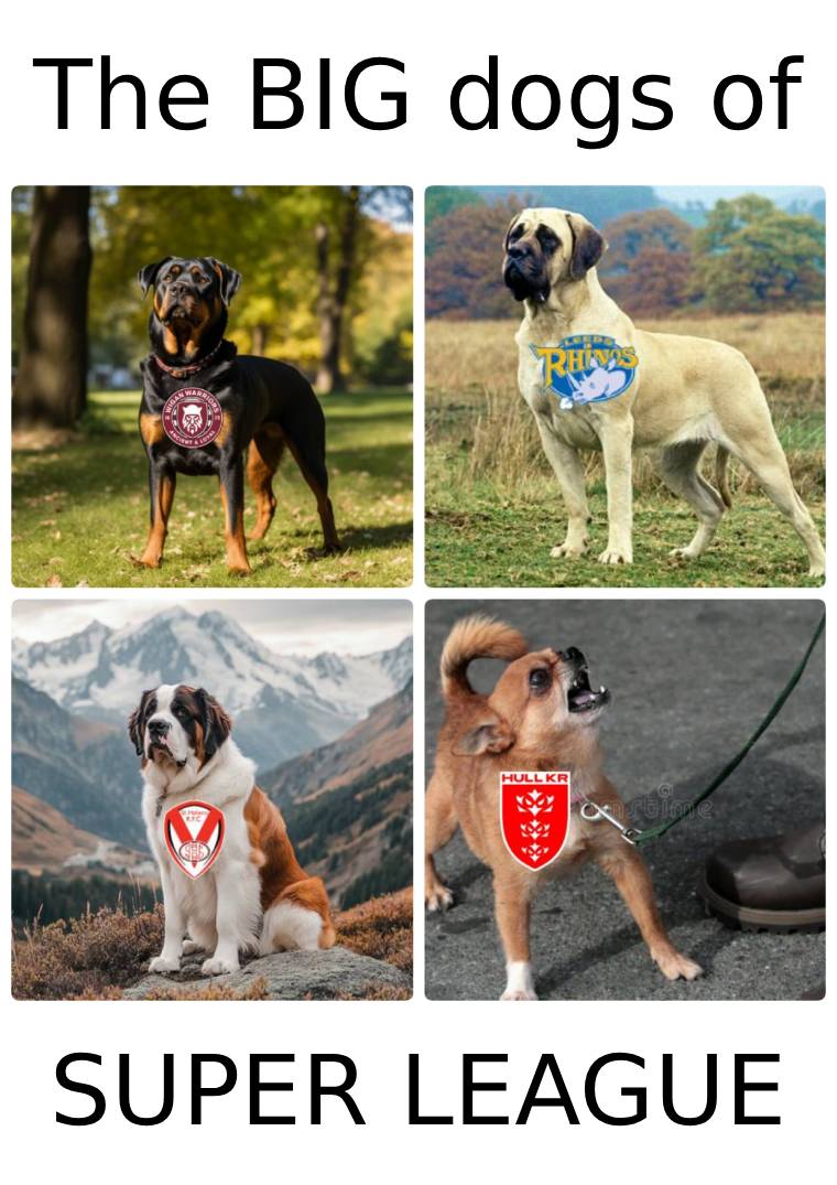 South Stander Luke 🦏 tweet media