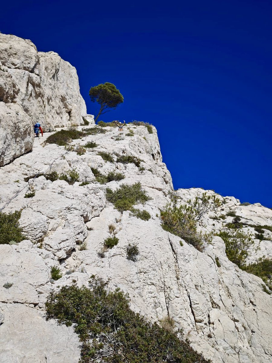 Jb Audras tweet media