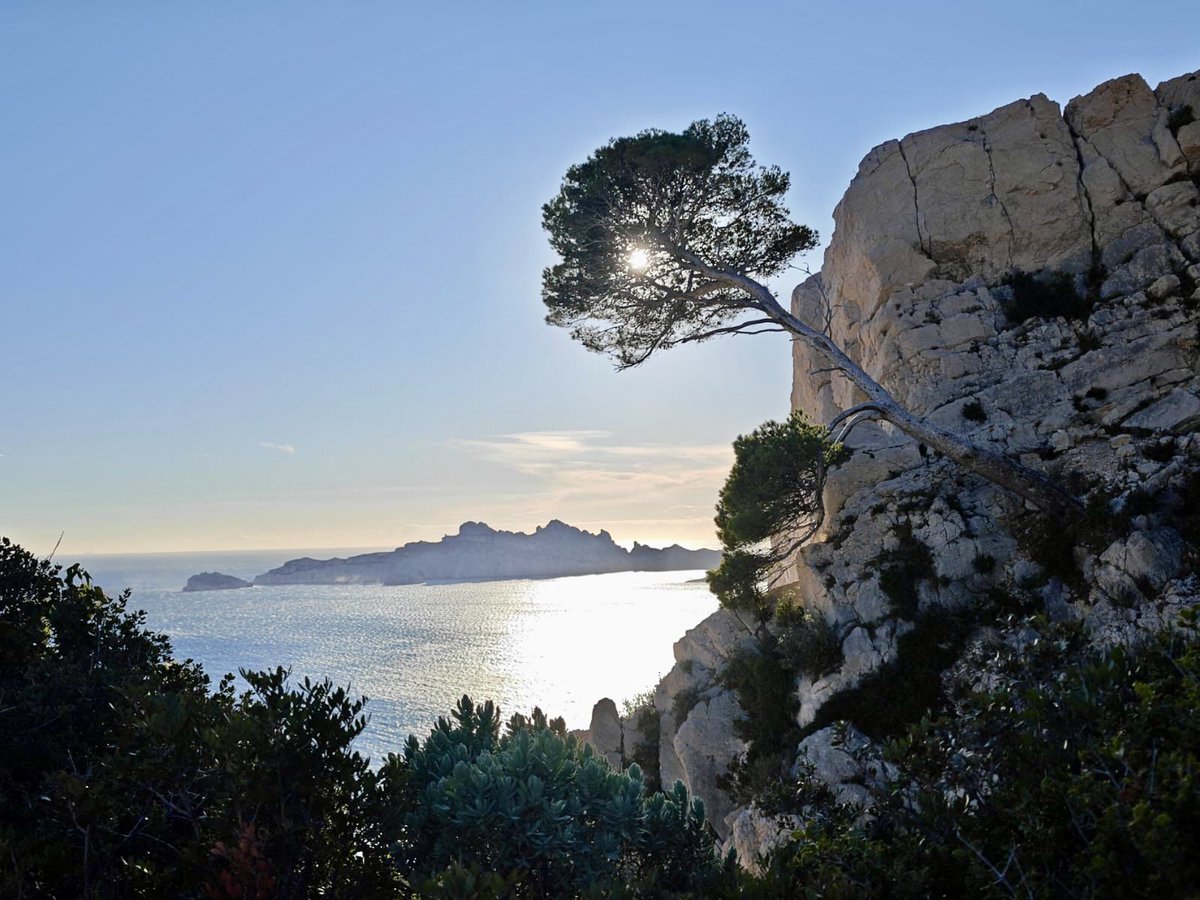 Jb Audras tweet media