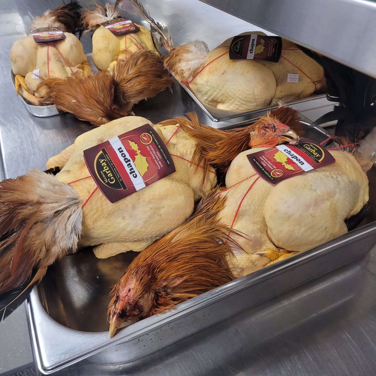 JaySanchezCos's tweet photo. Angry birds #capon https://t.co/Dau7kWCs7W