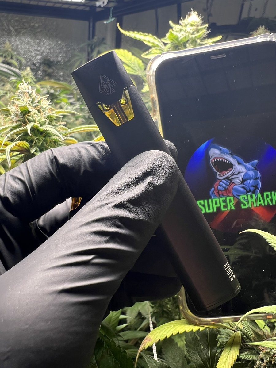 SuperWeedTH's tweet photo. พอตกัญชา เยลลี่กัญชา
Line https://t.co/5cB9X9iVYj

#กัญชาไฟฟ้า #เยลลี่กัญชา #คุกกี้กัญชา #พอตกัญชา #caliweed #420france #CannabisThaïlande #TourismeCannabis #CannabisMedical https://t.co/oJp664bROF