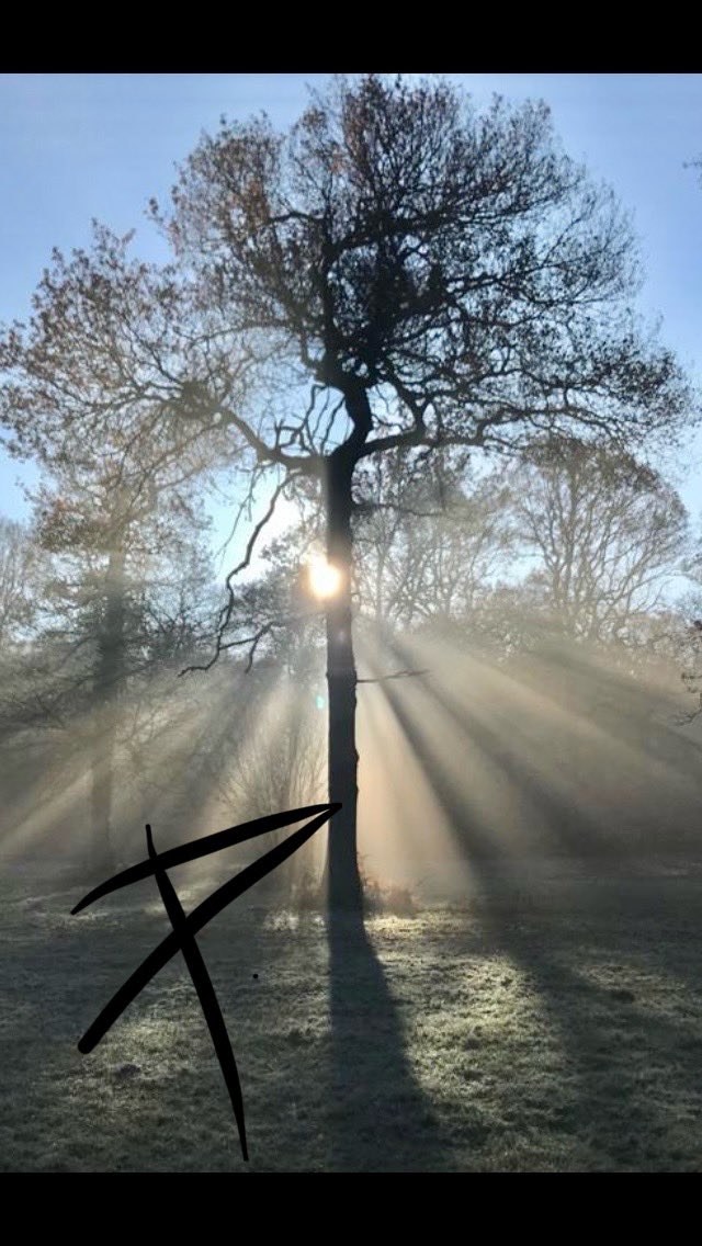 Be not overwhelmed
Do not let demons take you
Tonight is dark
Tomorrow will be brighter
We must believe it to be so
Do not #quit
Just do not quit
Cosy days are coming…
#vss365 
(📸by me 🖤)