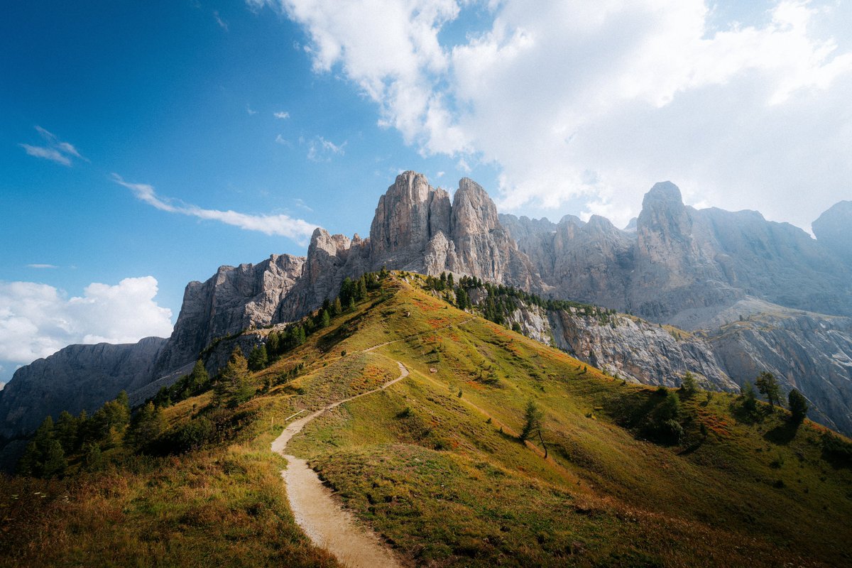 Michael Boegl tweet media