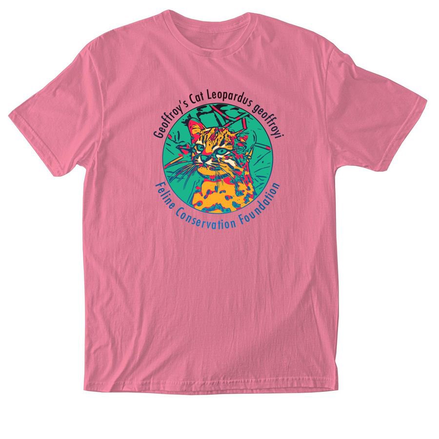 bonfire.com/org/feline-con…