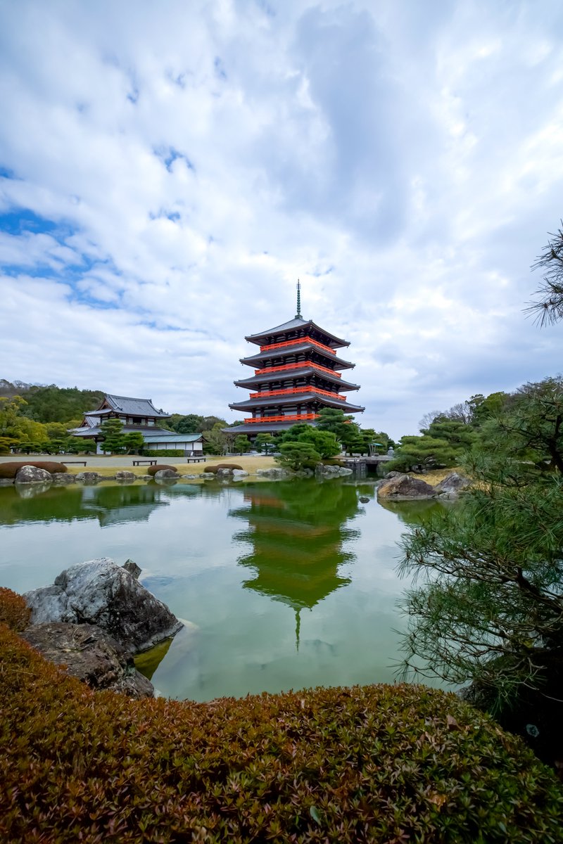 SP_Reflection tweet picture
