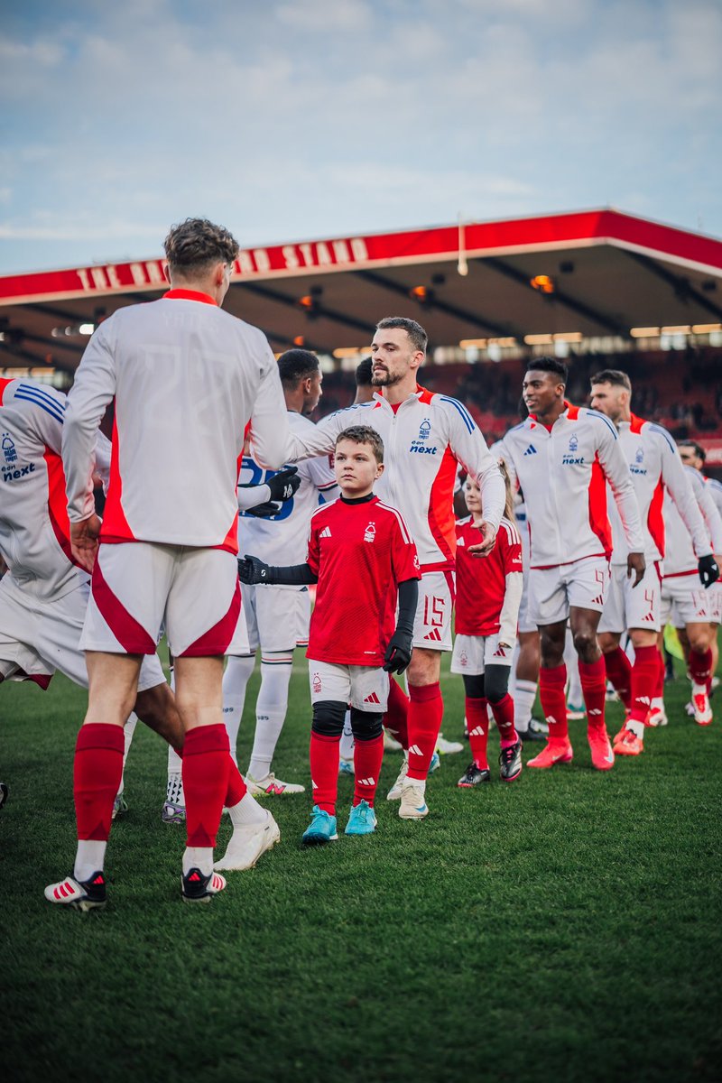Harry Toffolo tweet media