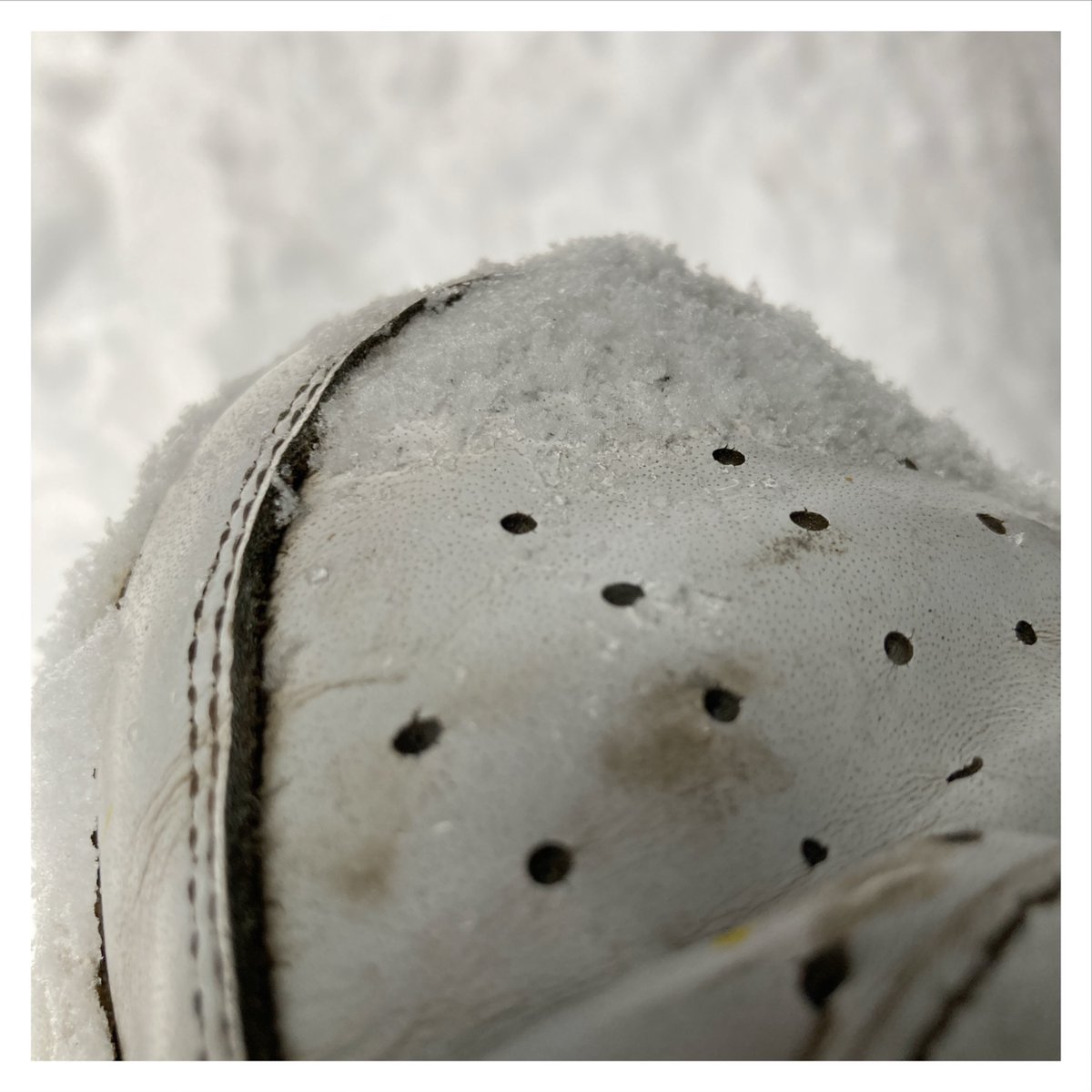 Sneakswapper's tweet photo. Who wants to lick the snow off? https://t.co/KbXeIFG6Q6