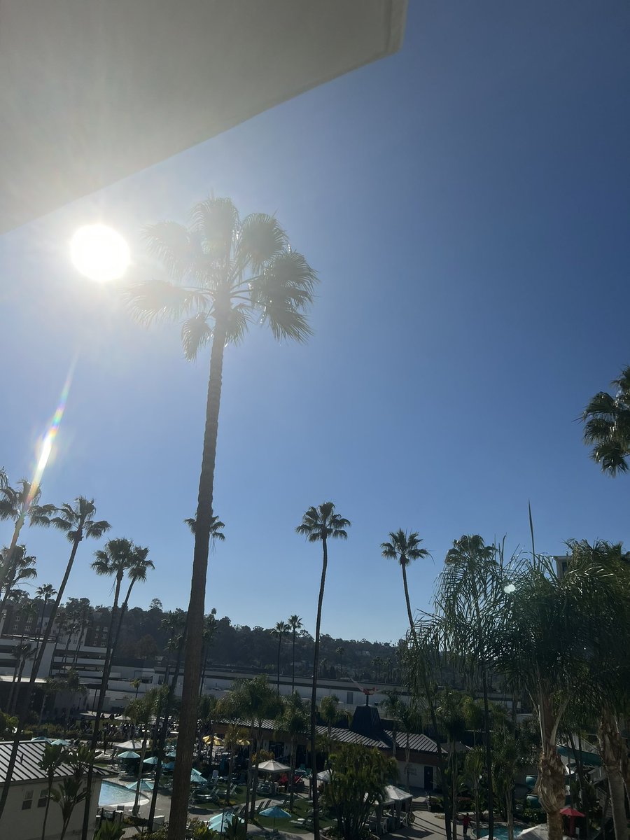 Maren van Son tweet media