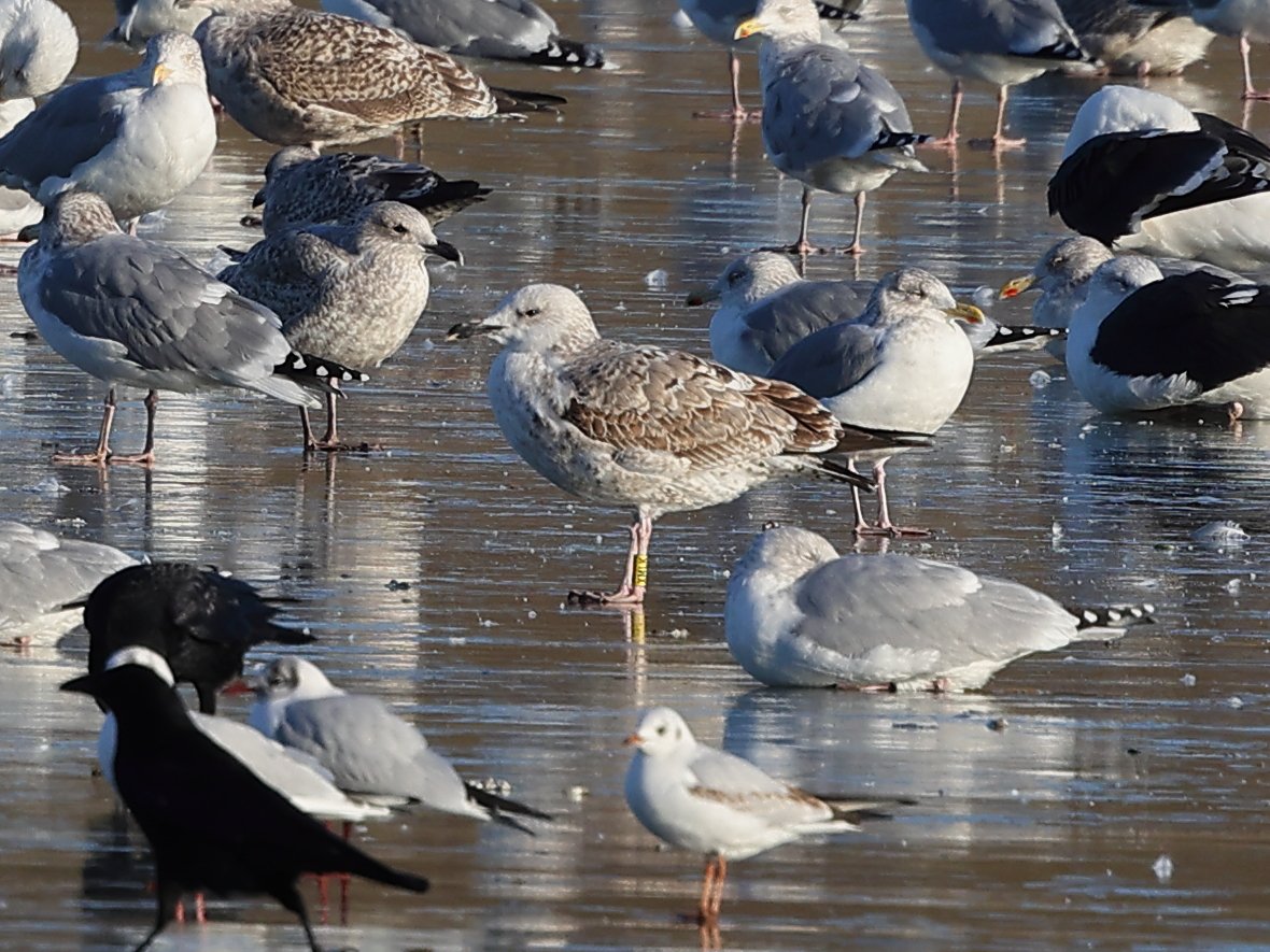 Andy Deighton tweet media