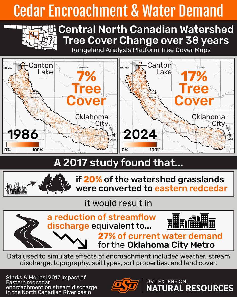 Cedar Encroachment &amp; Water Demand

Central North Canadian Watershed Tree Cover Change over 38 Years
Rangeland Analysis Platform Tree Cover Maps

1986: 7% Tree Cover
2024: 17% Tree Cover

A 2017 study found that...
if 20% of the watershed grasslands were converted to eastern