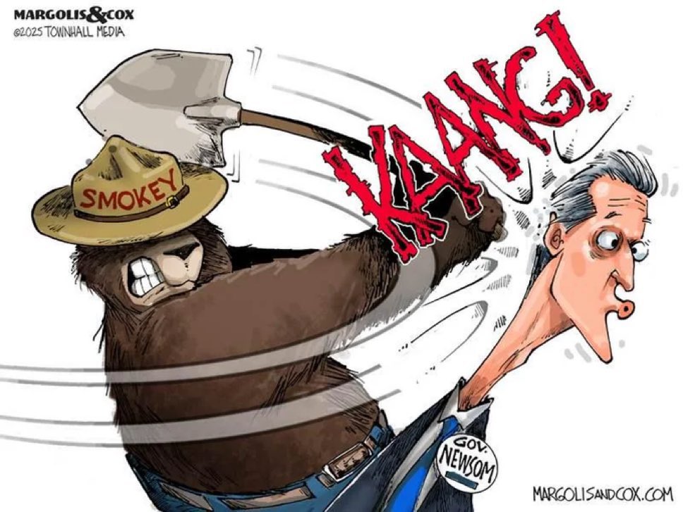 <a href="/annvandersteel/">Ann Vandersteel™️</a>