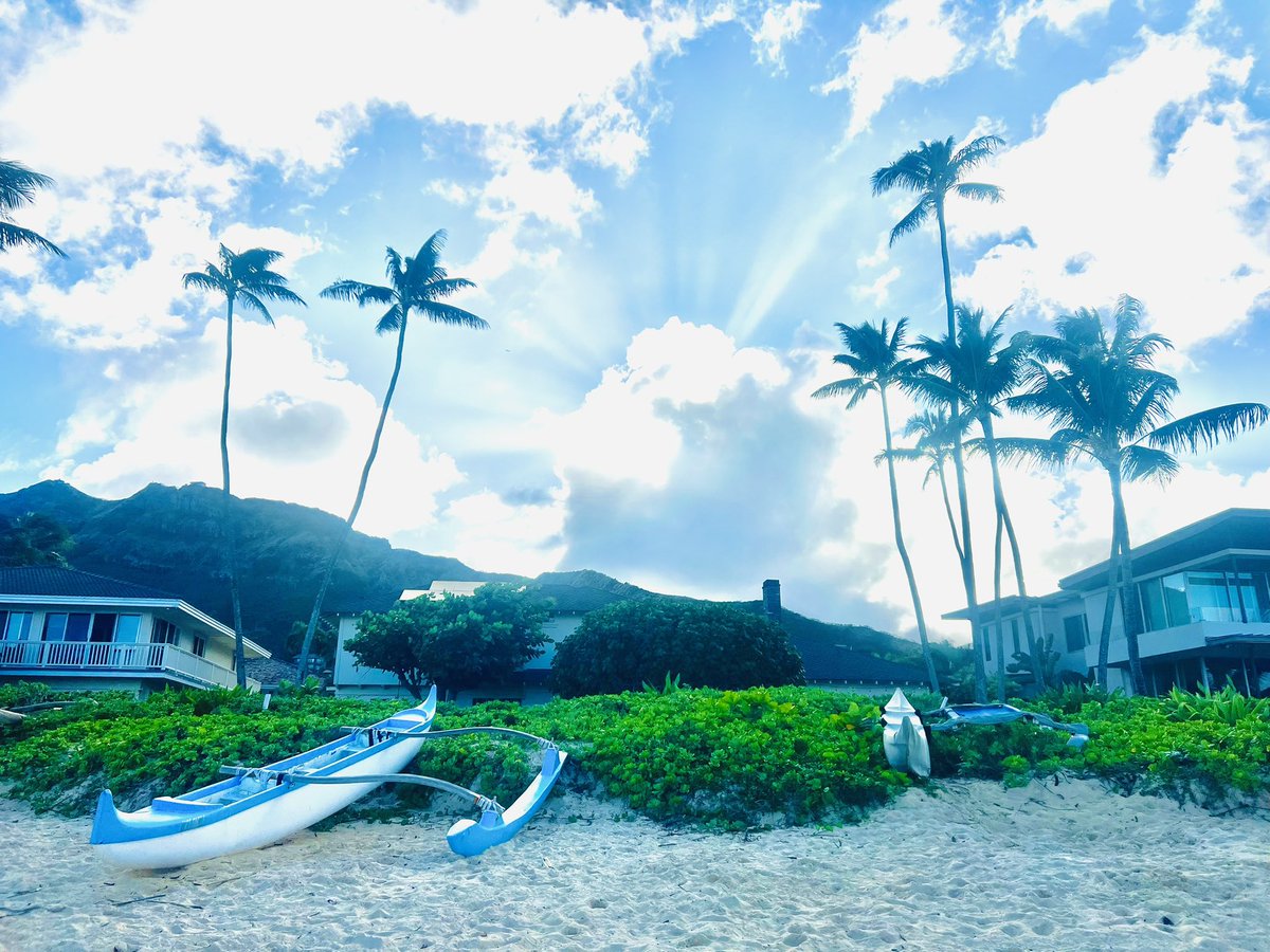 Soulafa Al-Abbasi, MDE, CFRE (@soulafa_a) on Twitter photo 