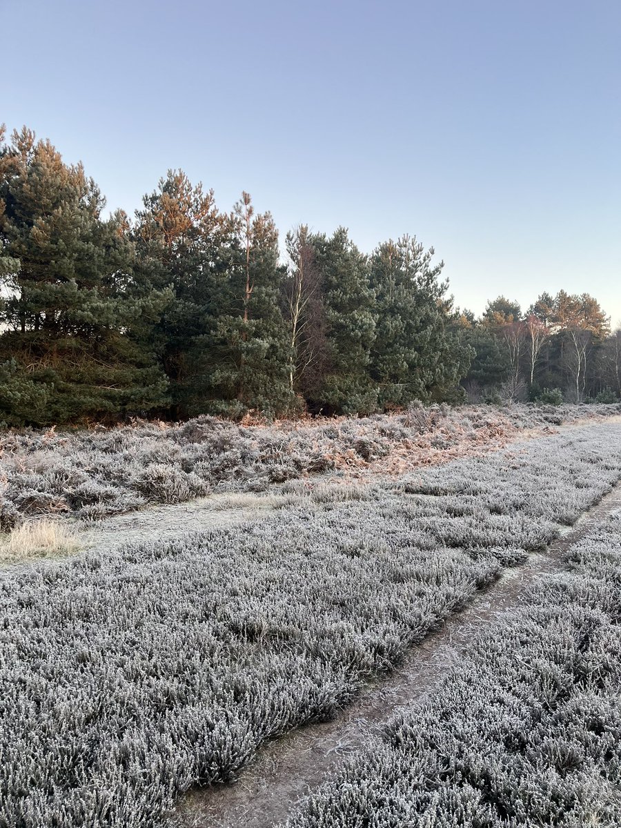 blanco586's tweet photo. Happy New Year to you all, I hope it’s brilliant year filled with success and growth. 

Ever been able to feel a picture? 

On a windy dry frosty cold, this pictures capture just more than a walk during a winter cold morning. I hope you all looking forward to what 2025 can offer https://t.co/DuzMZrK2kn
