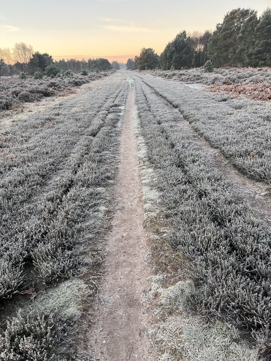 blanco586's tweet photo. Happy New Year to you all, I hope it’s brilliant year filled with success and growth. 

Ever been able to feel a picture? 

On a windy dry frosty cold, this pictures capture just more than a walk during a winter cold morning. I hope you all looking forward to what 2025 can offer https://t.co/DuzMZrK2kn