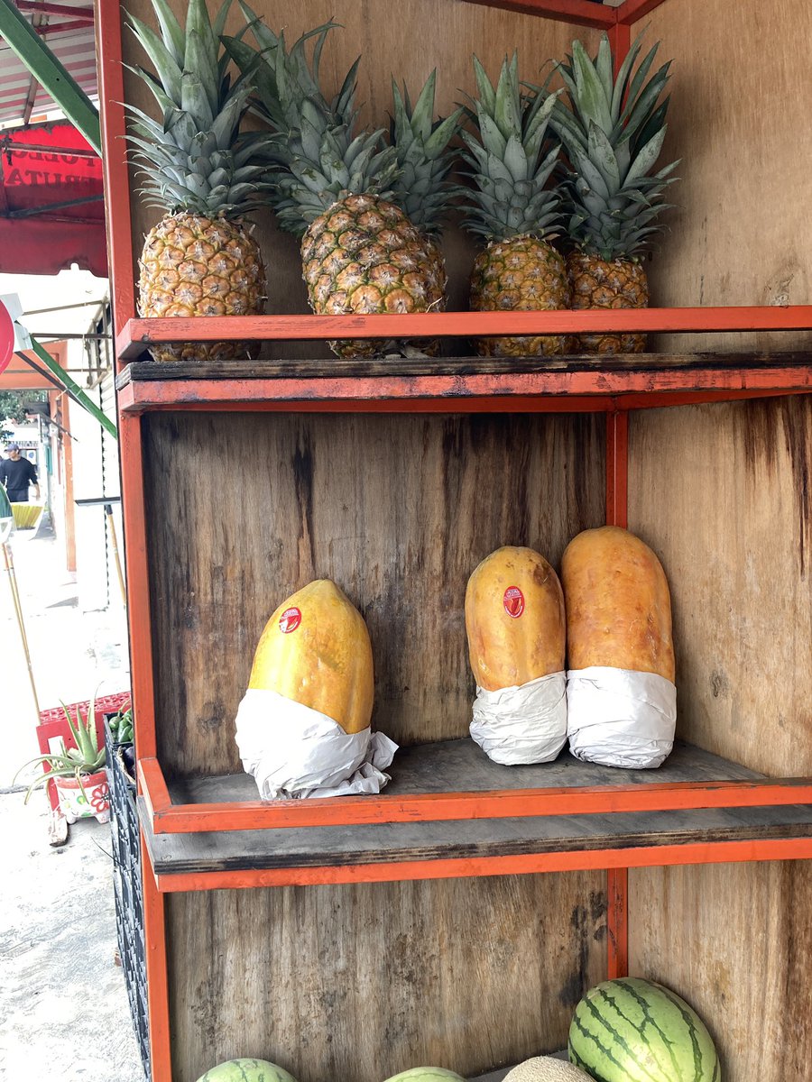 Hoy caminando en un camino conocido, decidí observar y destacar detalles que lo vuelven único.