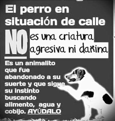 Almas De La Calle tweet media