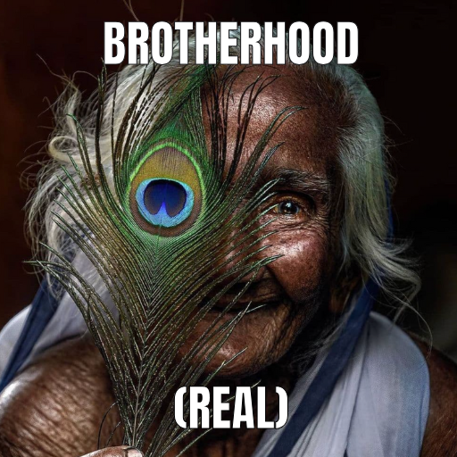 StarknetBro's tweet photo. respect and honor all brothers equally https://t.co/X2b2vEU7Ya