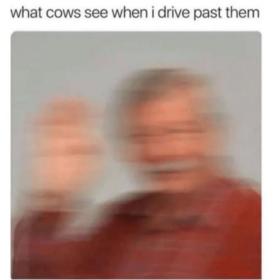 WholesomeMemes (@wholesomememe) on Twitter photo 
