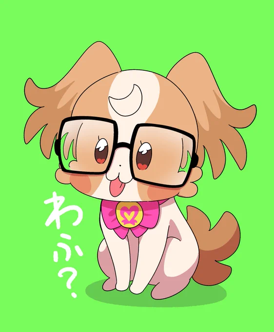 こむぎ〜、度が強い眼鏡だね〜 