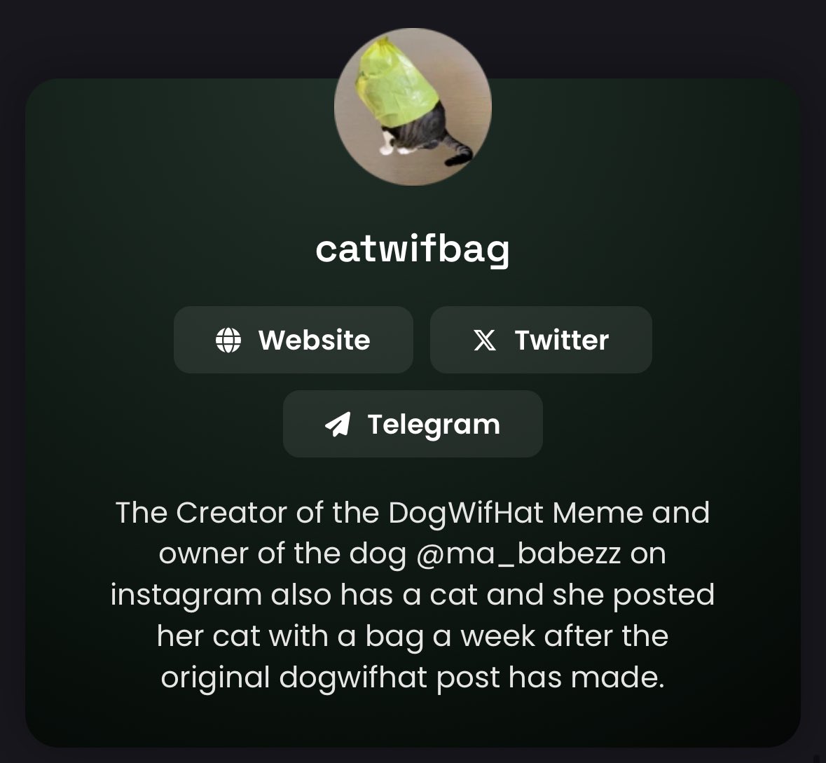 solbrdl's tweet image. I heard the team behind $CWH = $PNUT

Is this true? 

I am MAX bidding the beta play $BAG

It’s literally the same cat

If CWH sends, BAG will follow, BAG is much more organic. 

If $CWH dies, the money will rotate to $BAG 

Bidding the safest option for a potential 1000x