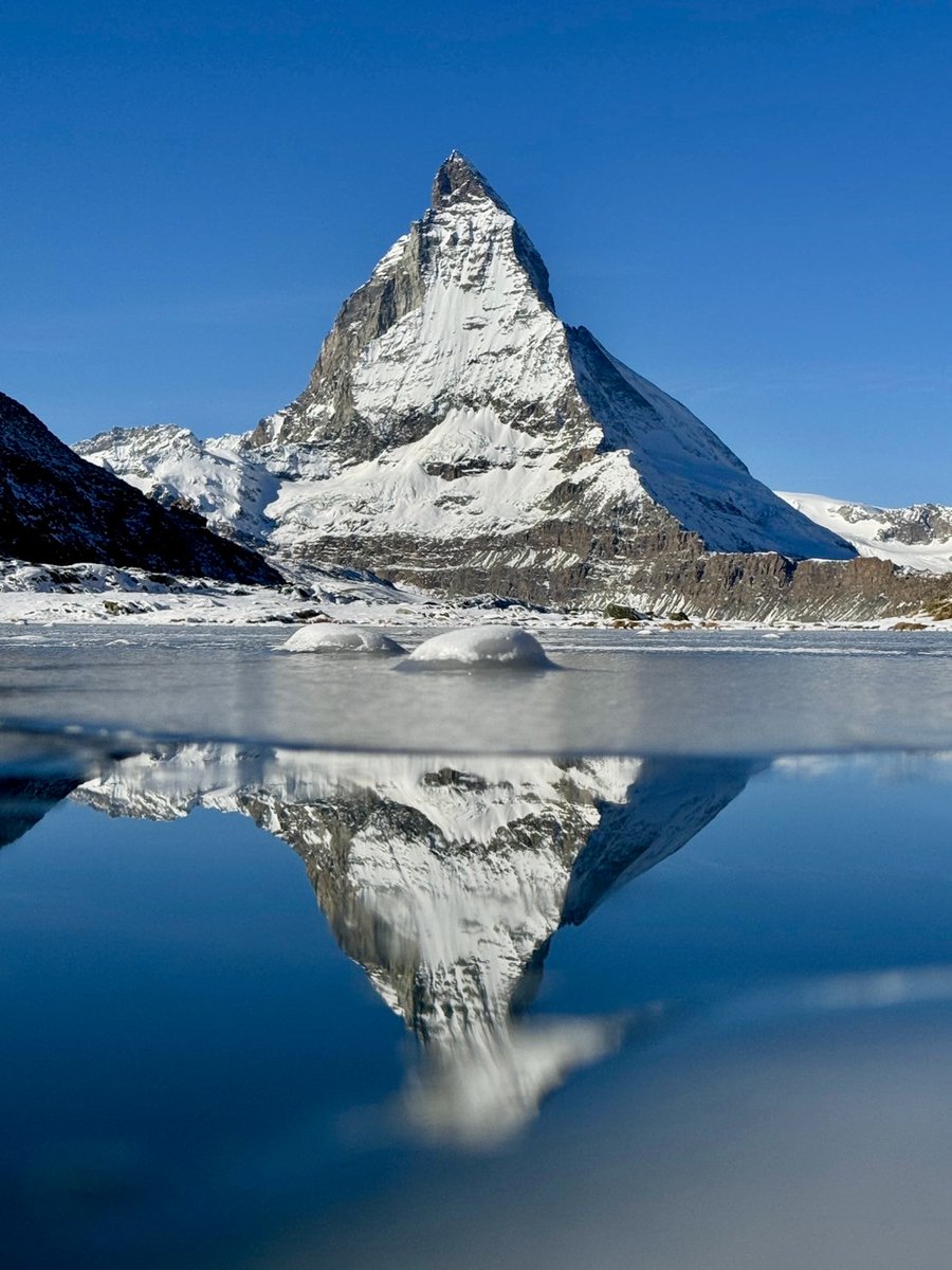SP_Reflection tweet picture
