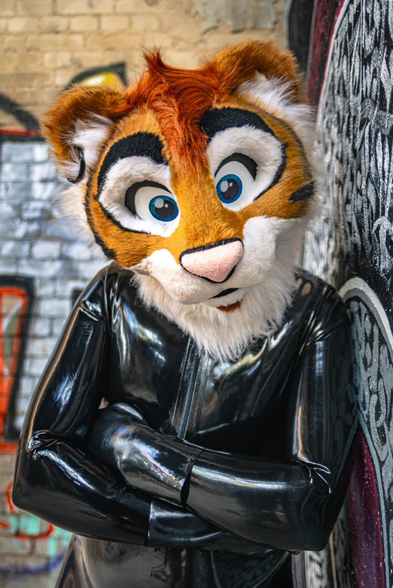 Lee Taiger tweet media