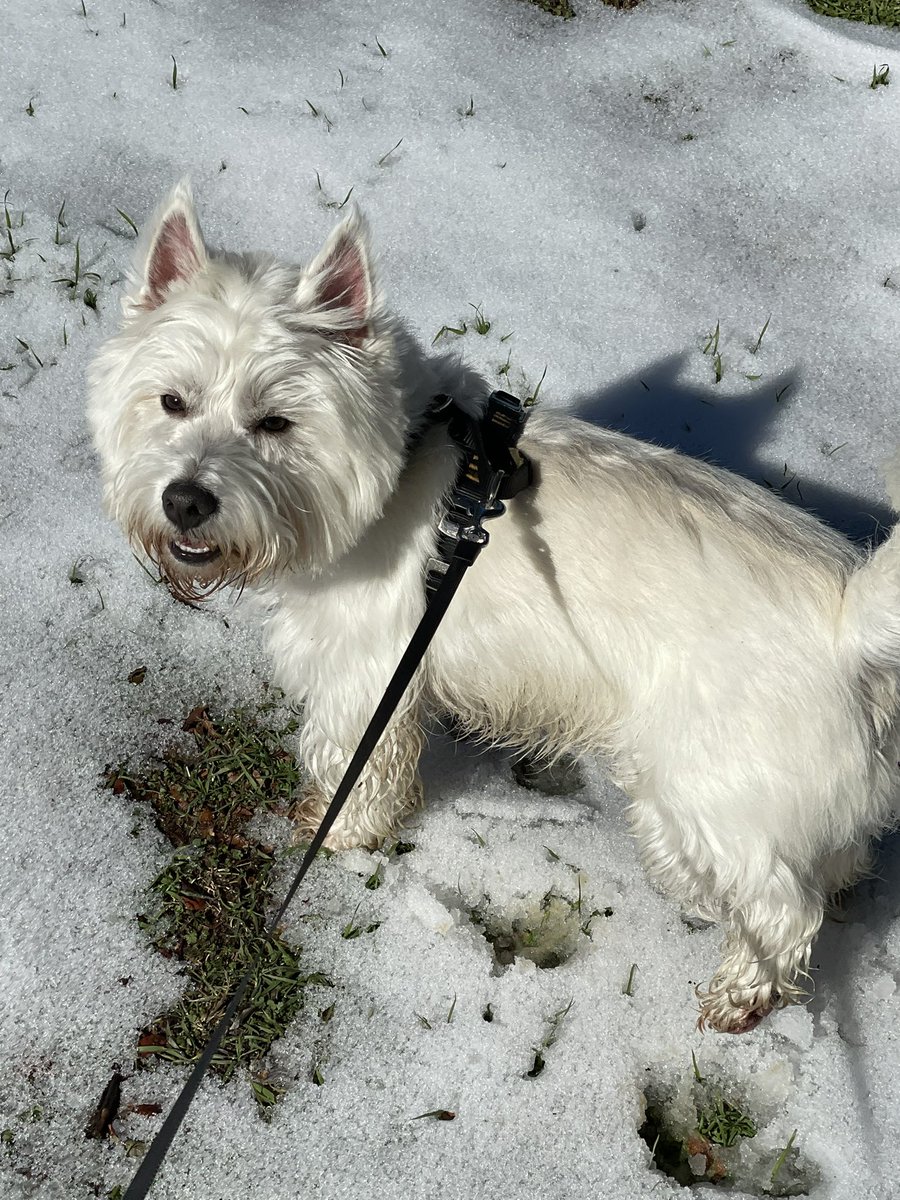 It’s my Birthday 🎉 🥳🎉  I got to explore in the SNOW ❄️