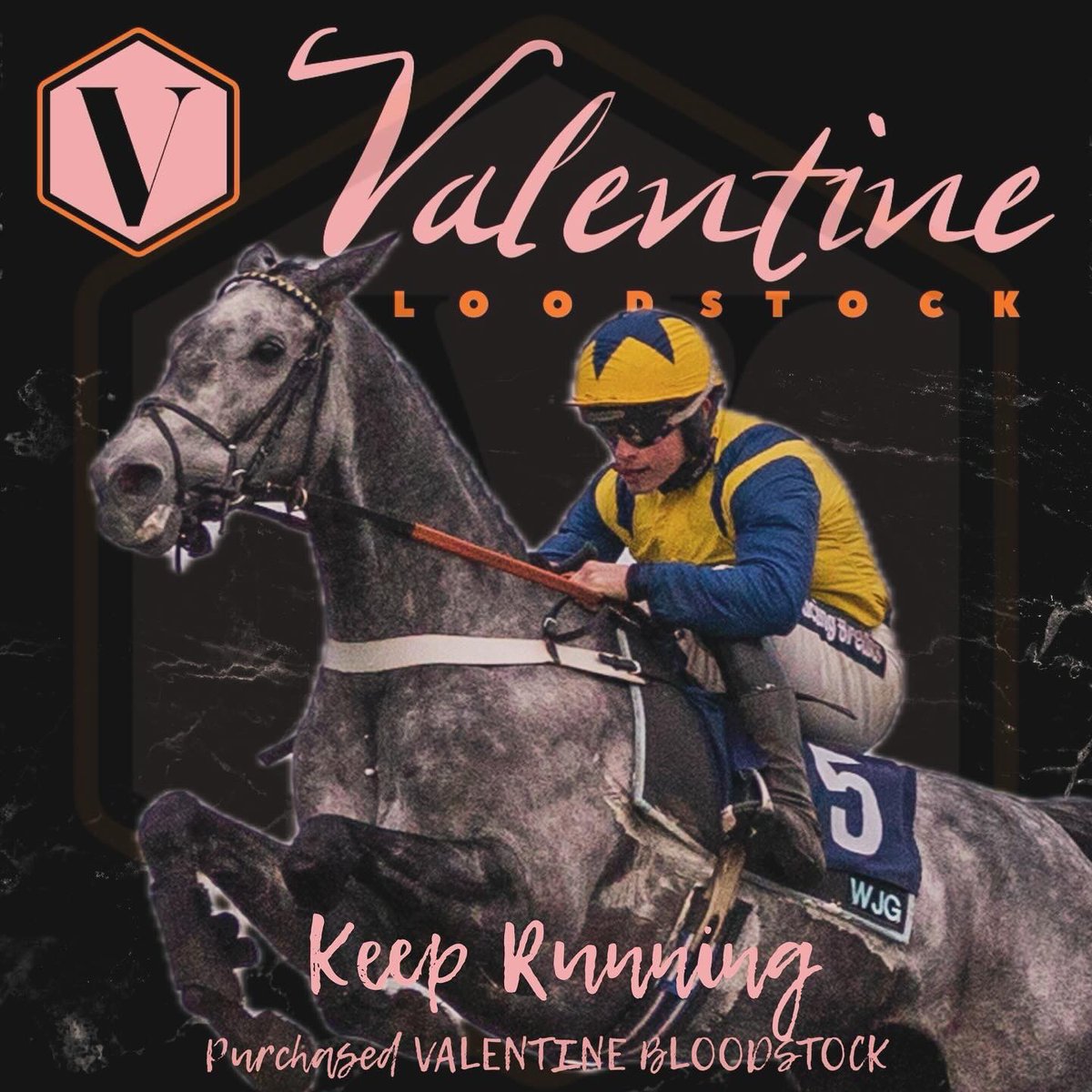ValentineBStock's tweet photo. 💥 🥇 KEEP RUNNING (Turgeon) Goes in AGAIN, registering his 2nd chase win of the season!!

👍🏼 Congratulations to his owner Mrs J Fowler , trainer @wgreatrexracing , his team and jockey James Bowen.

💙💛💙

✉️ Purchased privately as a 4YO 🇫🇷 

#ValentineBloodstock https://t.co/MLmz8tzn4r