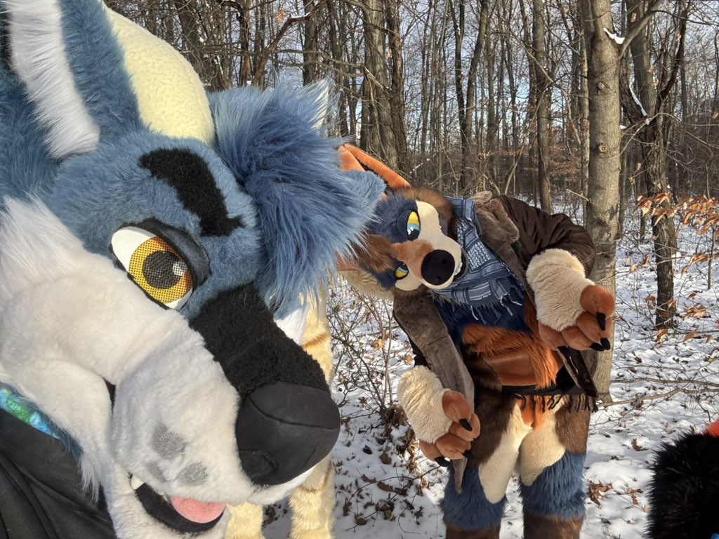 kai 🔜 LVFC|FWA (@dirdwolf) on Twitter photo 