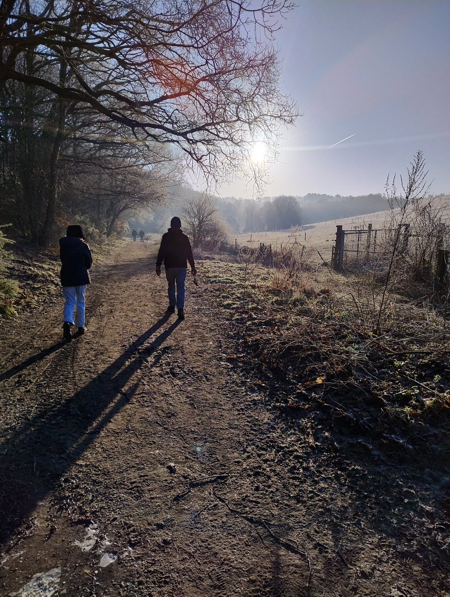 Staple34's tweet photo. Early morning dog walk in the winter sun. The down time I needed! https://t.co/JpYKINYPQ7