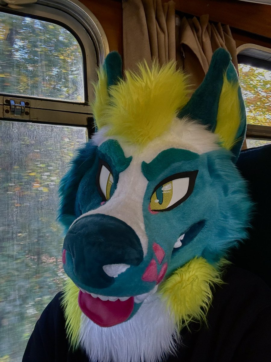 Noxx (@Furry_Noxx) / Posts / X
