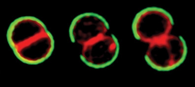 Defender tweet media