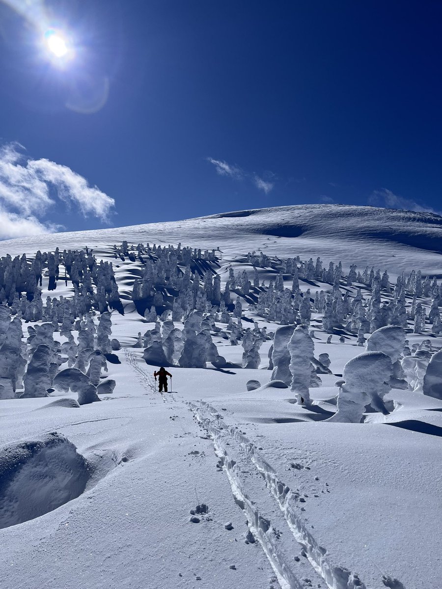atsunaka's tweet photo. the day!

2025/01/11

秋田県
森吉山

#秋田 
#森吉山
#バックカントリー https://t.co/vsL1KclZrN