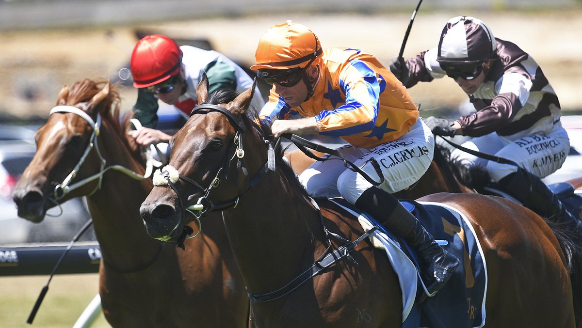 CurraghmoreNZ's tweet photo. 📰Brave colt Karaka Millions-bound

A short time ago, To Bravery Born was unlikely to get a shot at making the $1 million TAB Karaka Millions 2YO (1200m) field, but the colt took his opportunity at Ellerslie on Sunday.

https://t.co/opdE389X61 https://t.co/IvR8N7kpBt