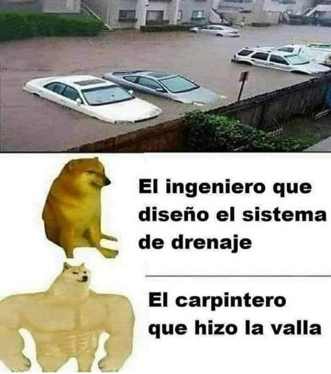 Enséñame de Ciencia (@ensedeciencia) on Twitter photo 