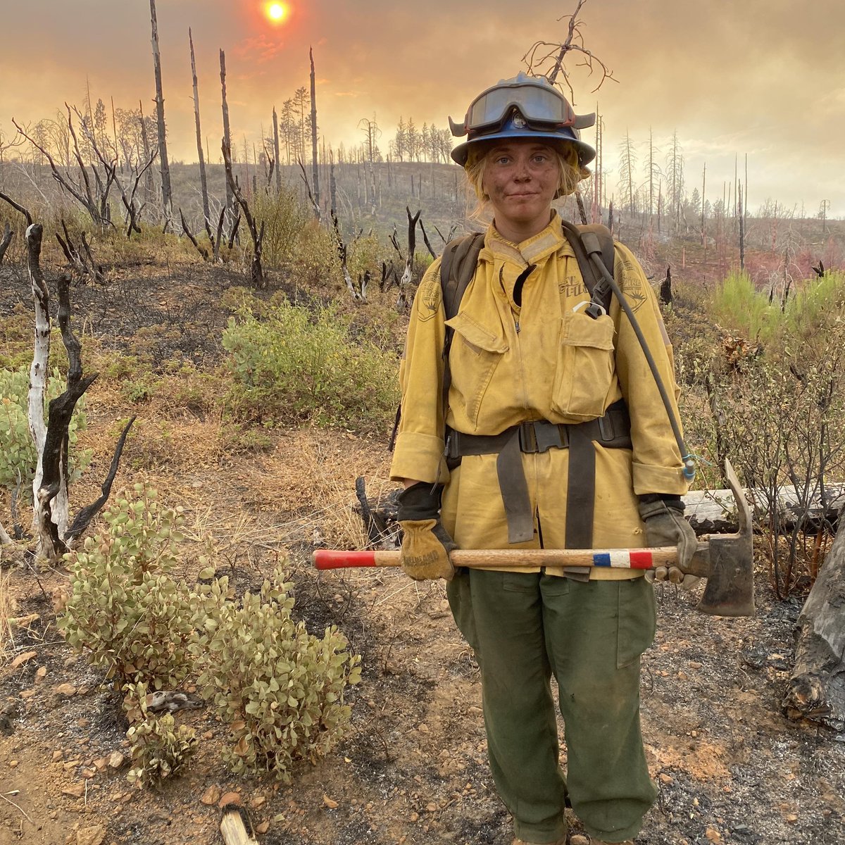 Ken Martin tweet media