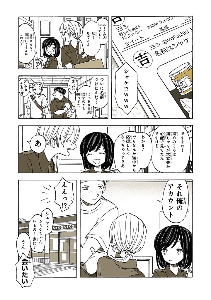 #猫 3/3 
