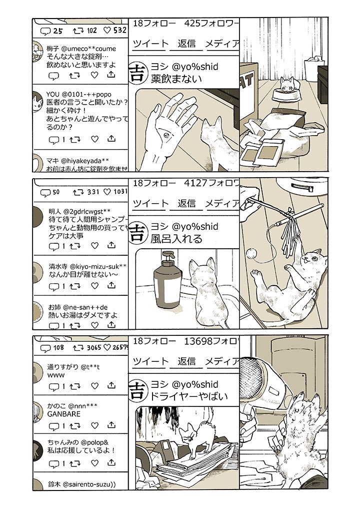 #猫 3/3 