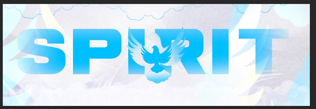 The Spirit Rises…

Introducing Spirit Esports

#FeelTheSpirit