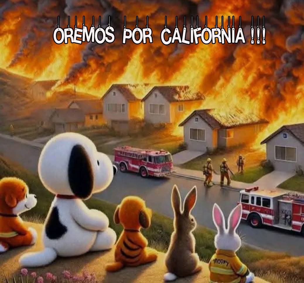 eveyhugo96's tweet photo. Dios bendice a California con toda su gente y los animalitos. ♥️🐾♥️🐾♥️ https://t.co/yO6hYERYCM