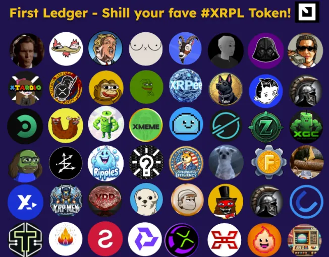 caballerzdev's tweet photo. clearly the xrp bros are ready for Bull Run https://t.co/LSlGojatUi