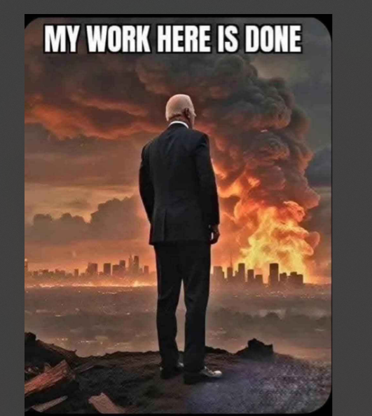 fisiuniverse's tweet photo. @elonmusk Apparently, Ghana’s inauguration was more urgent than LA’s fires. Makes sense…if you’re a Democrat. https://t.co/oVj3zL6FAA