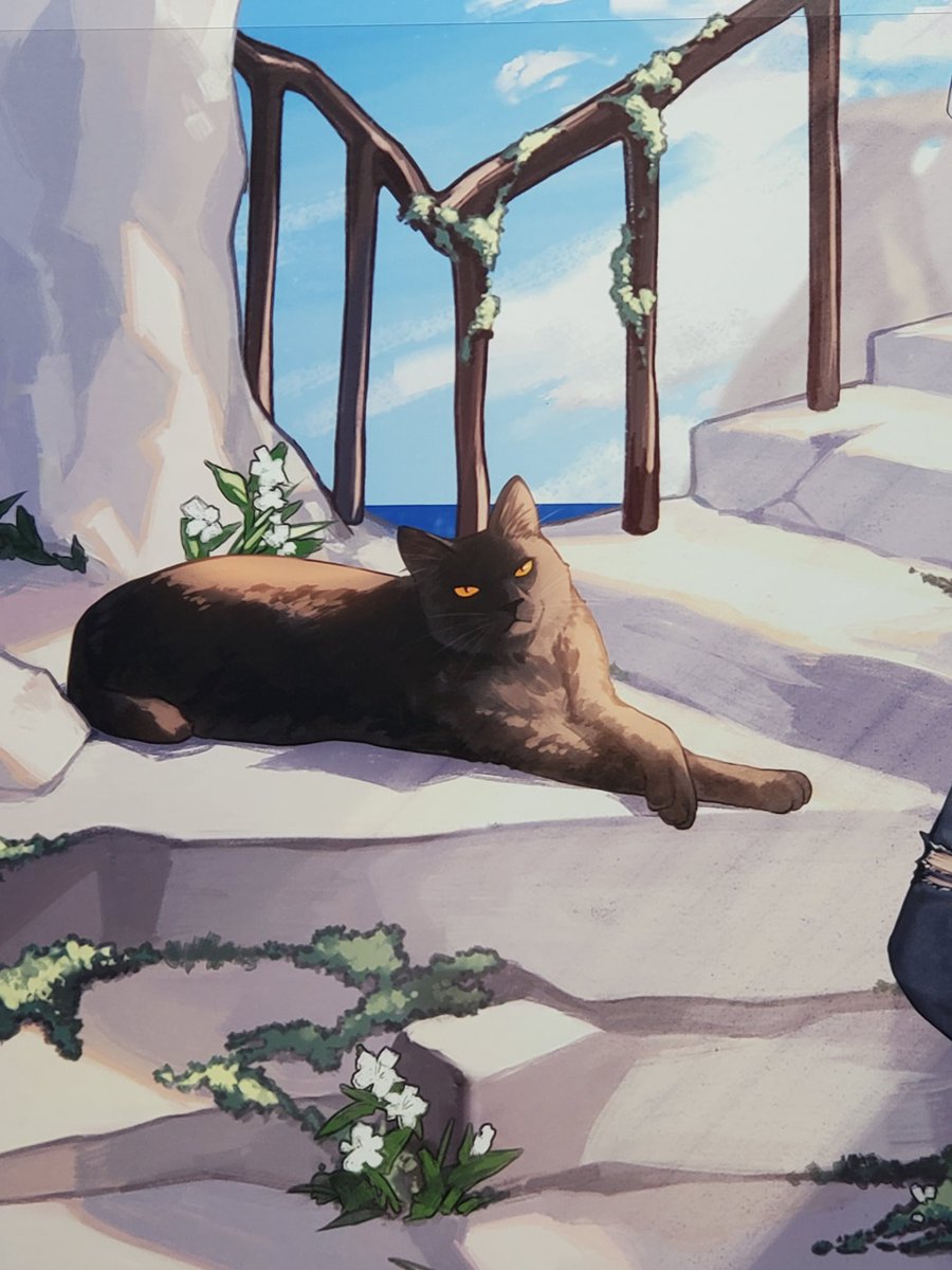 uta_shiro11's tweet photo. エンカクコーデの猫ちゃんズ https://t.co/QxLjDKNbQE